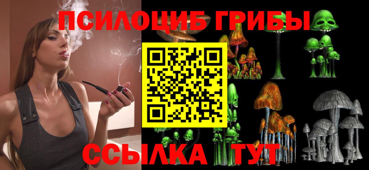 Галлюциногенные грибы Magic Shrooms  Вход с VPN  Кингисепп 